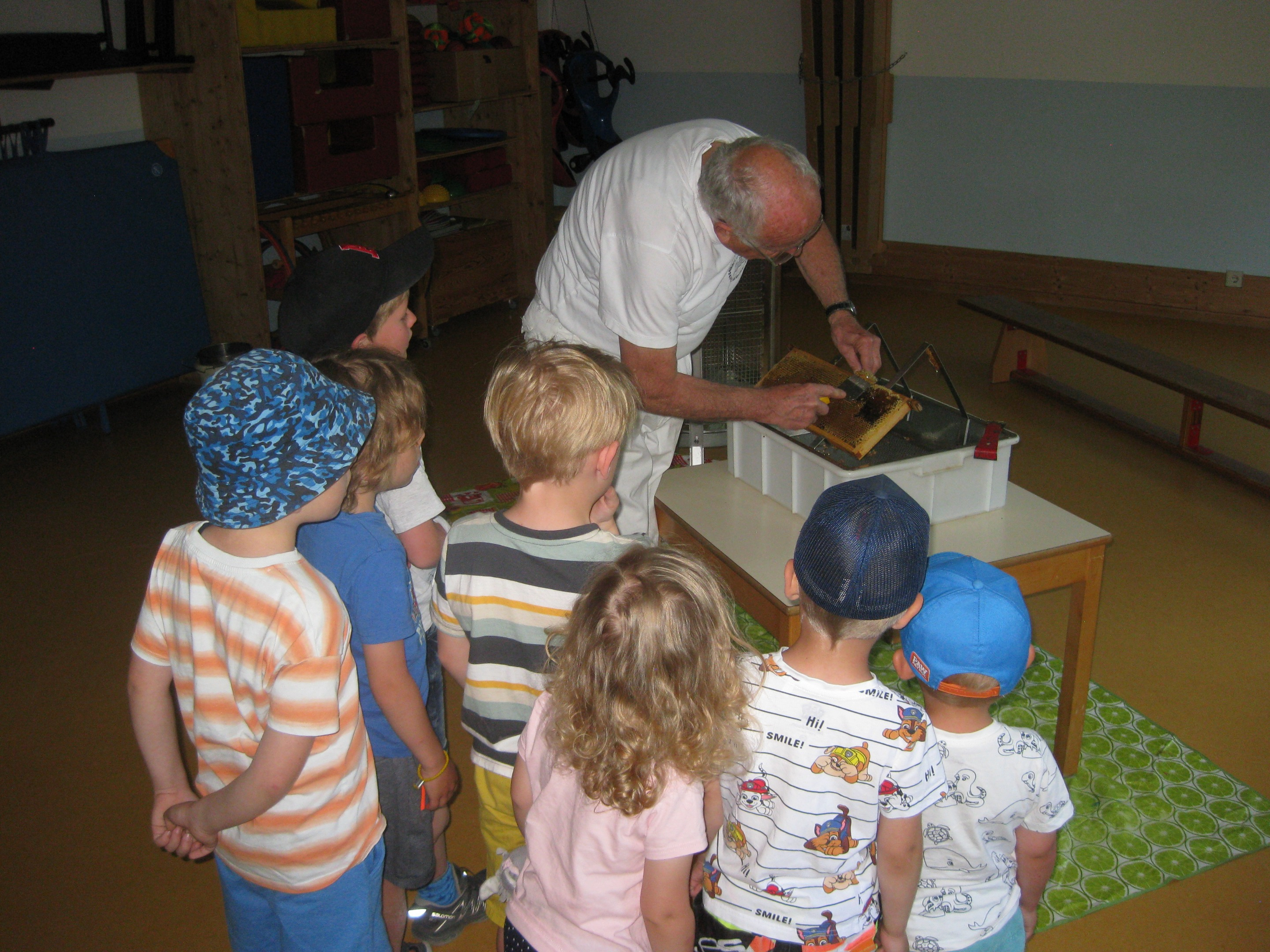 Kindergarten -St.Michael - Metten - Herr Geck Richard Honigwabe Entdeckung, Verarbeitung bzw. Vorbereitung zum Schleudern.