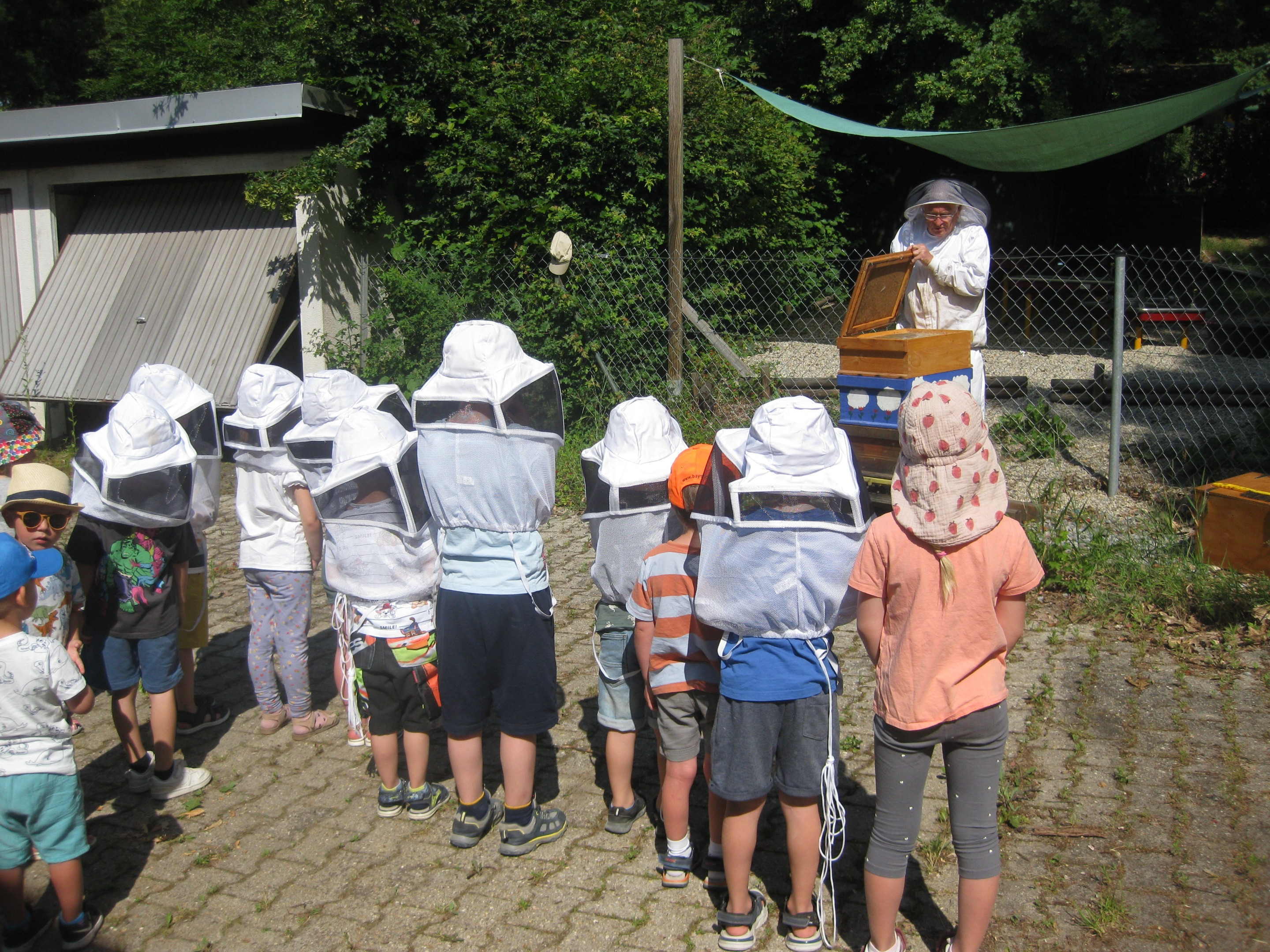 Kindergarten -St.Michael - Metten - Herr Geck Richard Honiggewinnung vom Bienenvolk